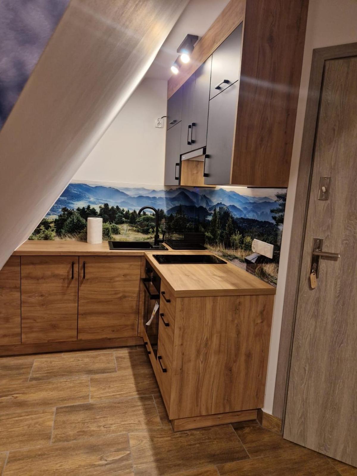 Studia I Apartamenty Wierchy Zakopane Ngoại thất bức ảnh
